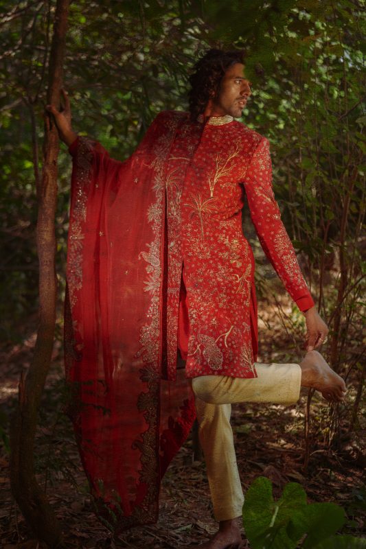 Shop Red Sherwani Set | Dushyant | Indian Sherwani | Ayush Jain | houseofayushjain