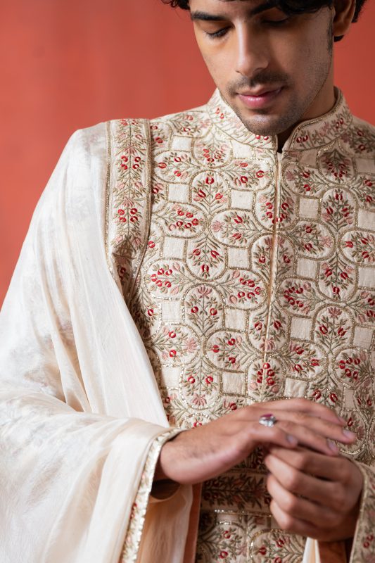 Buy Elegant Sherwani in Delhi | Mirzya | houseofayushjain | Ayush Jain